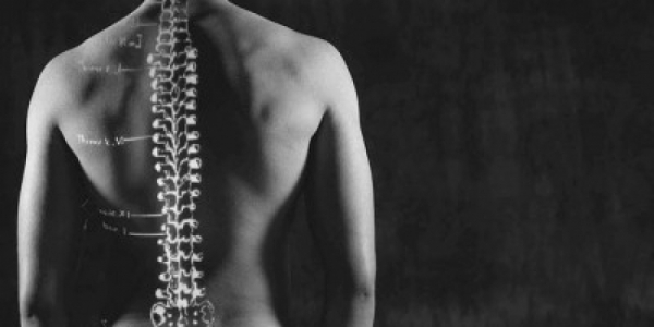 Tratamiento contra el dolor de espalda, Premio Marie Curie